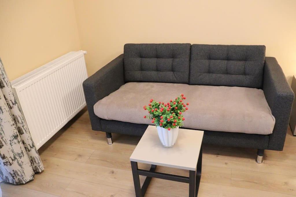 Parklake Home Κλουζ-Ναπόκα Εξωτερικό φωτογραφία